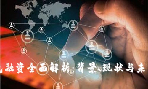 TP钱包融资全面解析：背景、现状与未来展望